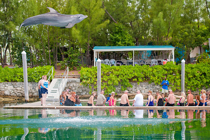 Thrill to a once-in-a-lifetime dolphin encounter with the island’s Underwater Explorers Society, which offers exciting Dolphin Experience excursions in Sanctuary Bay. You can swim or snorkel with a pod of Atlantic bottlenose dolphins in the open ocean or simply touch their velvety skin.  (Photo Credit: © Lyndah Wells)